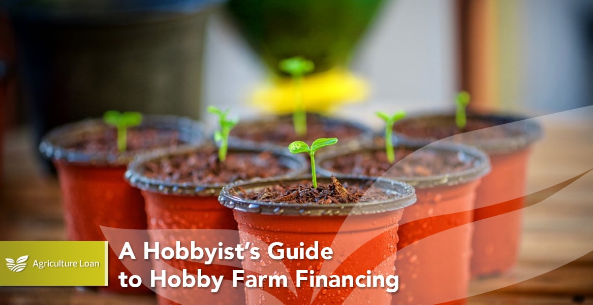 A Hobbyist’s Guide to Hobby Farm Financing