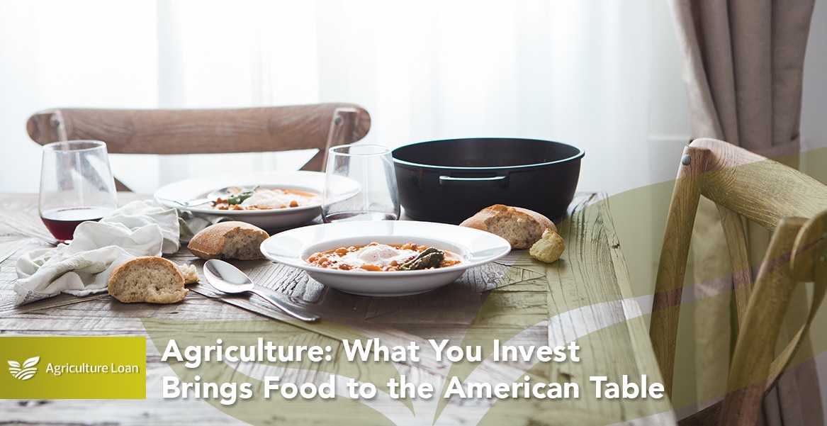 Agriculture- What You Invest Brings Food to the American Table