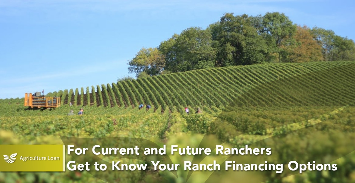 For Current and Future Ranchers Get to Know Your Ranch Financing Options