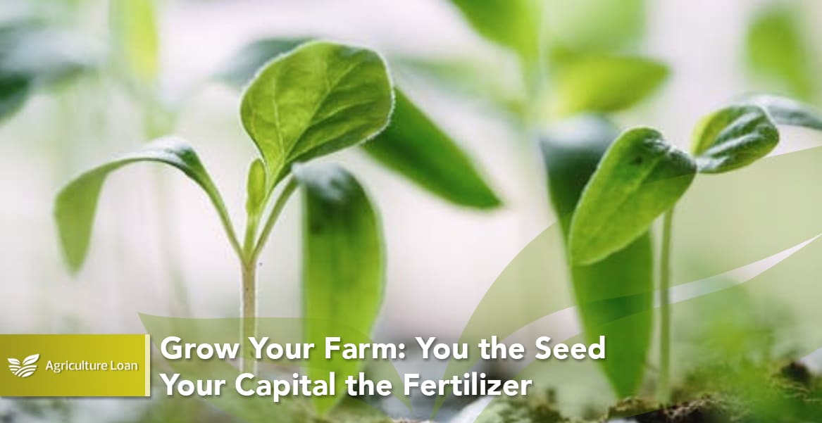 Grow Your Farm- You the Seed Your Capital the Fertilizer