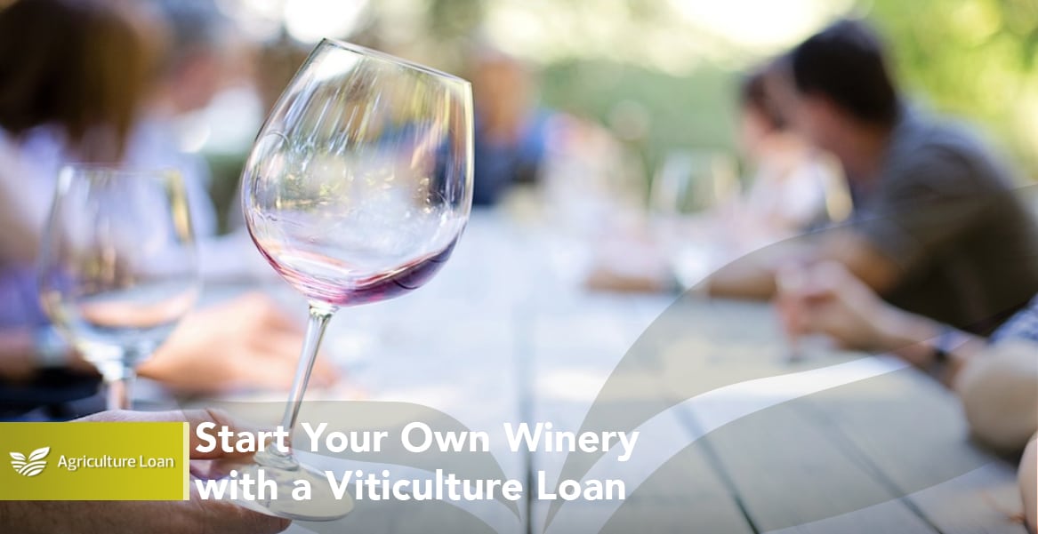 Start Your Own Winery with a Viticulture Loan