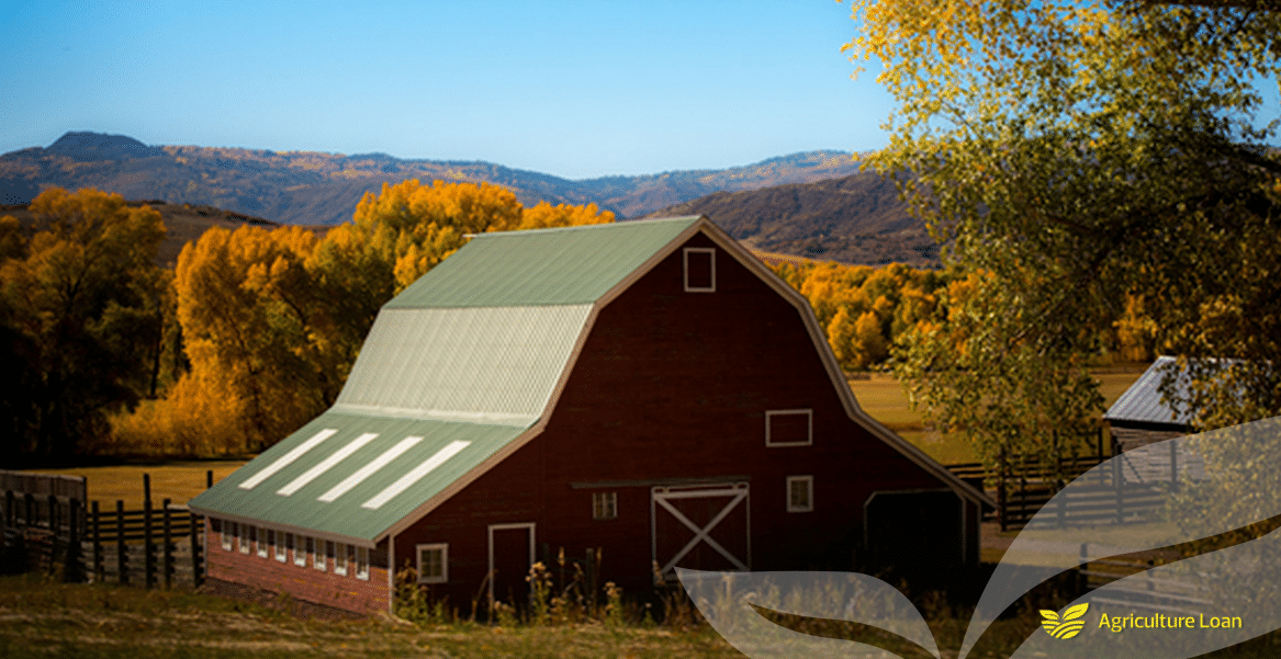 Agricultural Loan Information