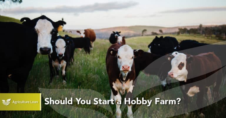 hobby farm loan