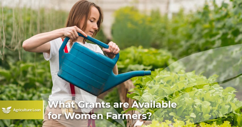 What Grants are Available for Women Farmers?