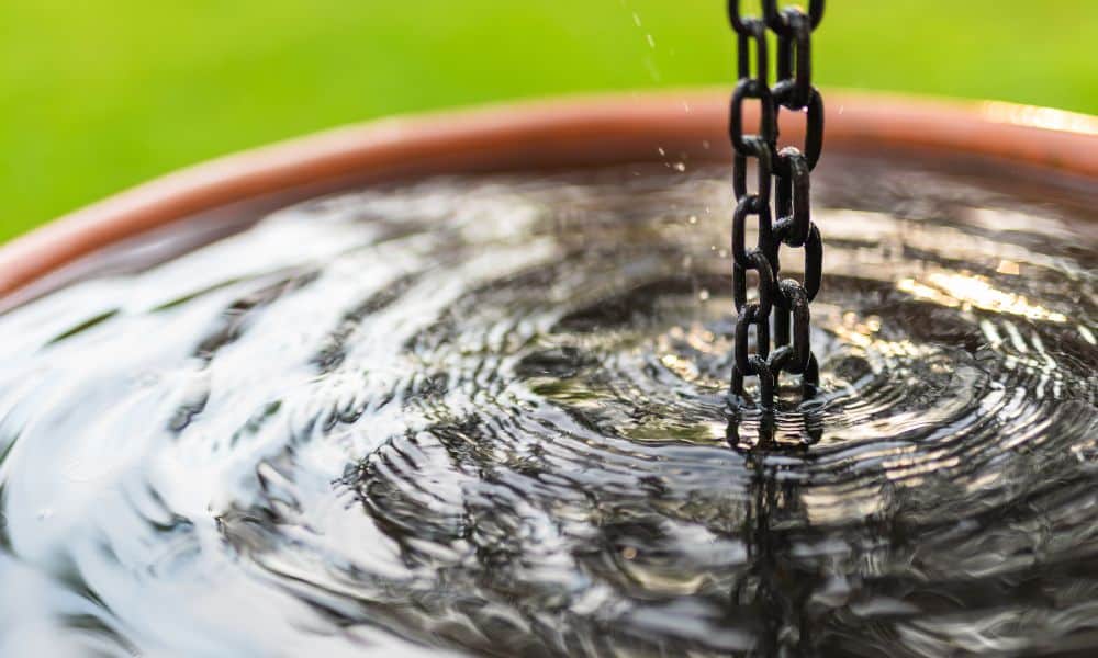Rainwater Harvesting Tips for Beginners