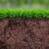 How Climate Change Is Affecting Soil Microbiomes