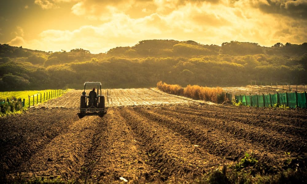 What You Should Know About Starting an Agricultural Business