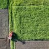 The Role of Drones in Revolutionizing Precision Farming Benefits and Applications